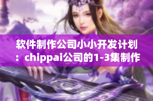 软件制作公司小小开发计划：chippai公司的1-3集制作揭秘