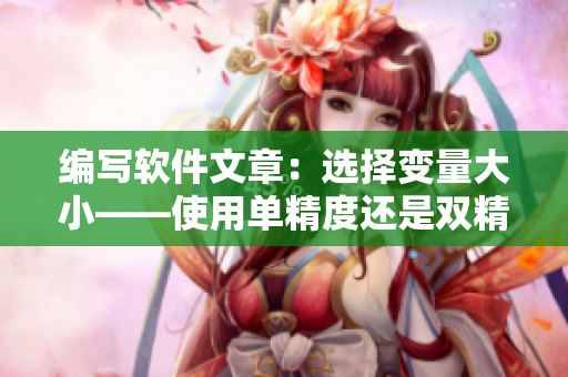 编写软件文章：选择变量大小——使用单精度还是双精度？