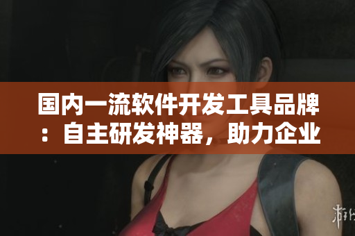 国内一流软件开发工具品牌：自主研发神器，助力企业高效开发！