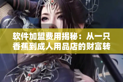 软件加盟费用揭秘：从一只香蕉到成人用品店的财富转换