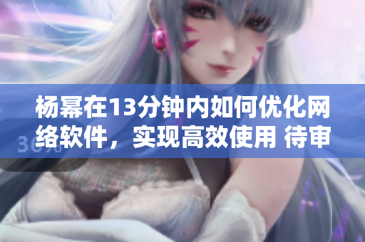 杨幂在13分钟内如何优化网络软件，实现高效使用 待审