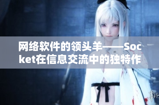 网络软件的领头羊——Socket在信息交流中的独特作用