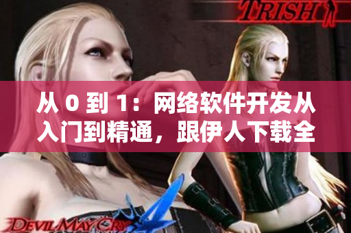 从 0 到 1：网络软件开发从入门到精通，跟伊人下载全面学习！