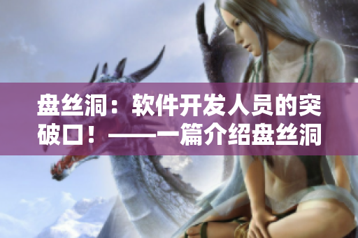 盘丝洞：软件开发人员的突破口！——一篇介绍盘丝洞软件开发技术的文章