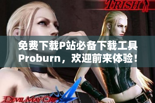 免费下载P站必备下载工具Proburn，欢迎前来体验！