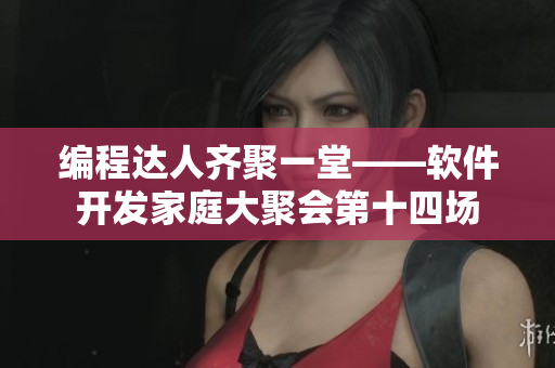 编程达人齐聚一堂——软件开发家庭大聚会第十四场