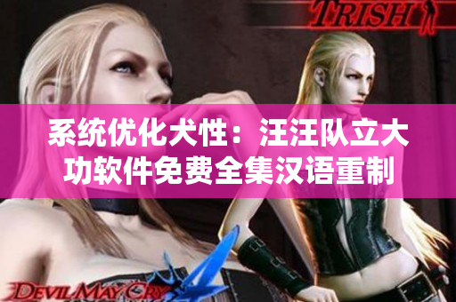 系统优化犬性：汪汪队立大功软件免费全集汉语重制