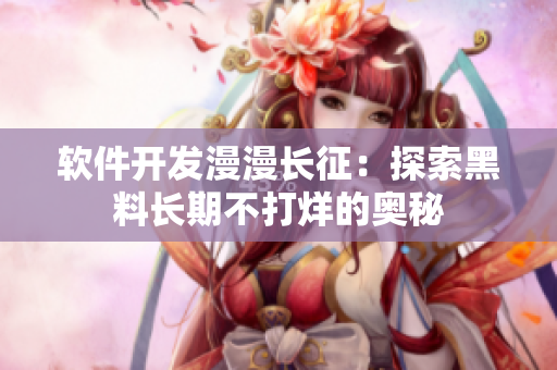 软件开发漫漫长征：探索黑料长期不打烊的奥秘