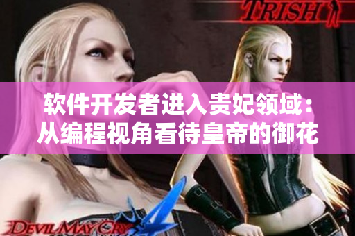 软件开发者进入贵妃领域：从编程视角看待皇帝的御花园