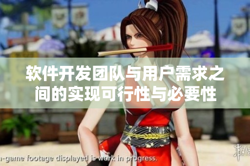 软件开发团队与用户需求之间的实现可行性与必要性