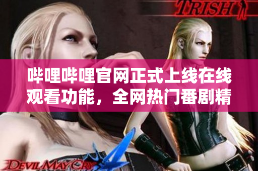 哔哩哔哩官网正式上线在线观看功能，全网热门番剧精彩不断