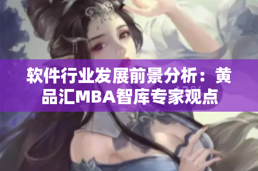 软件行业发展前景分析：黄品汇MBA智库专家观点