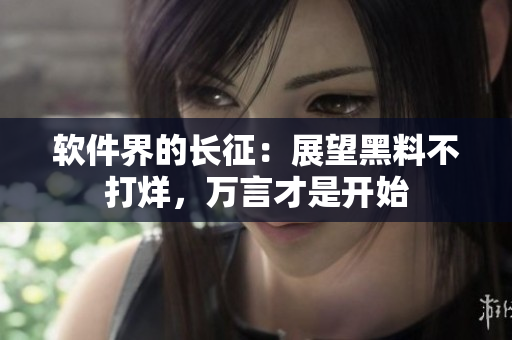 软件界的长征：展望黑料不打烊，万言才是开始