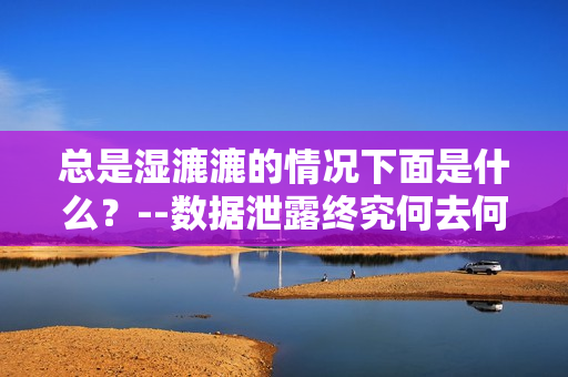 总是湿漉漉的情况下面是什么？--数据泄露终究何去何从？