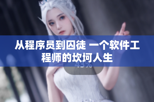 从程序员到囚徒 一个软件工程师的坎坷人生