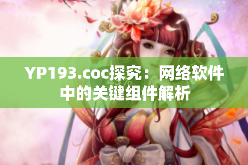 YP193.coc探究：网络软件中的关键组件解析