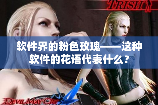 软件界的粉色玫瑰——这种软件的花语代表什么？