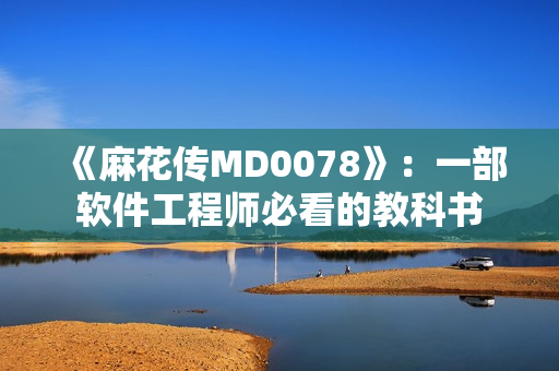 《麻花传MD0078》：一部软件工程师必看的教科书