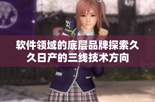 软件领域的底层品牌探索久久日产的三线技术方向