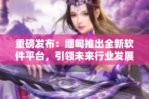重磅发布：缅甸推出全新软件平台，引领未来行业发展！