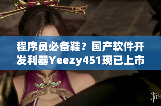 程序员必备鞋？国产软件开发利器Yeezy451现已上市！