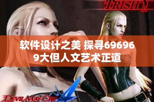软件设计之美 探寻696969大但人文艺术正道