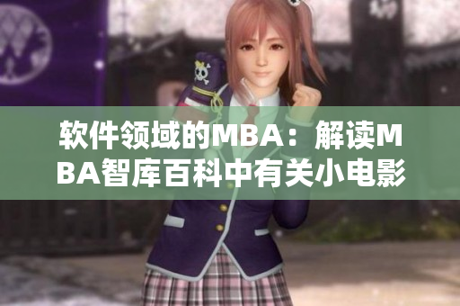 软件领域的MBA：解读MBA智库百科中有关小电影的内容