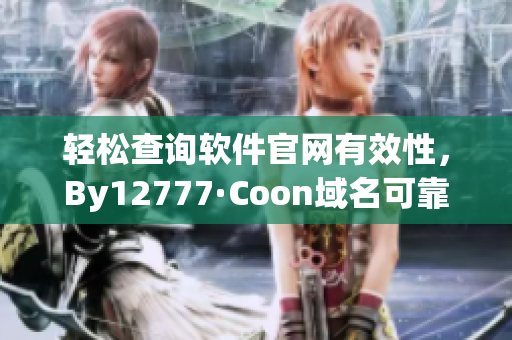 轻松查询软件官网有效性，By12777·Coon域名可靠查询