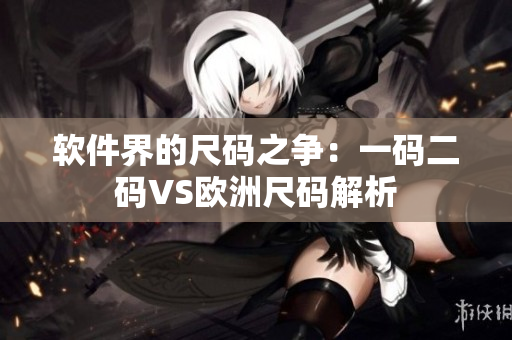 软件界的尺码之争：一码二码VS欧洲尺码解析