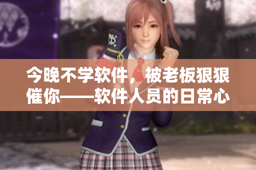 今晚不学软件，被老板狠狠催你——软件人员的日常心声