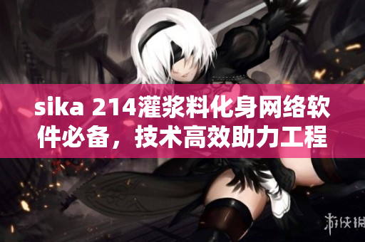 sika 214灌浆料化身网络软件必备，技术高效助力工程安全