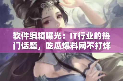 软件编辑曝光：IT行业的热门话题，吃瓜爆料网不打烊！