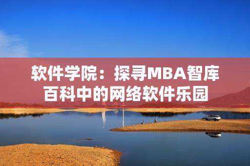 软件学院：探寻MBA智库百科中的网络软件乐园