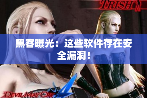 黑客曝光：这些软件存在安全漏洞！
