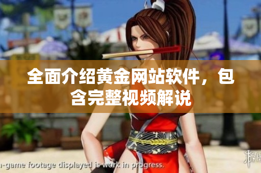 全面介绍黄金网站软件，包含完整视频解说