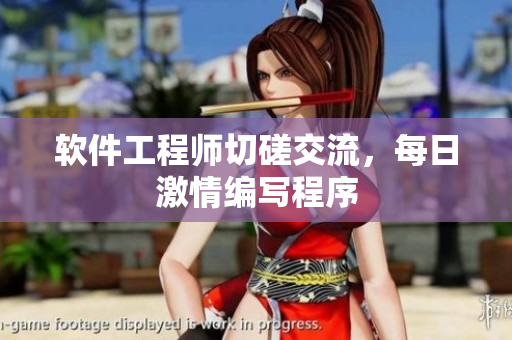 软件工程师切磋交流，每日激情编写程序