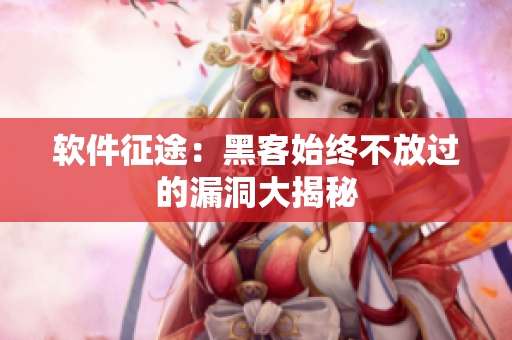 软件征途：黑客始终不放过的漏洞大揭秘