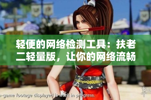轻便的网络检测工具：扶老二轻量版，让你的网络流畅如风。