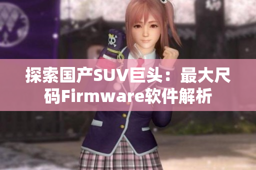 探索国产SUV巨头：最大尺码Firmware软件解析