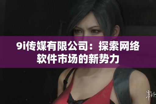 9i传媒有限公司：探索网络软件市场的新势力