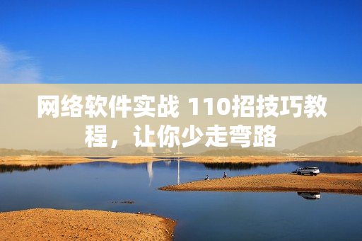 网络软件实战 110招技巧教程，让你少走弯路