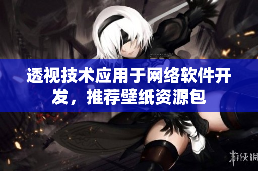 透视技术应用于网络软件开发，推荐壁纸资源包