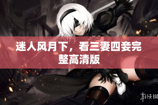 迷人风月下，看三妻四妾完整高清版