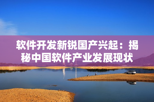 软件开发新锐国产兴起：揭秘中国软件产业发展现状