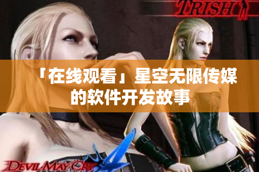 「在线观看」星空无限传媒的软件开发故事