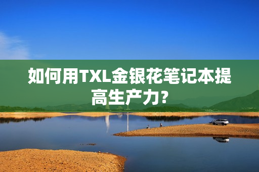 如何用TXL金银花笔记本提高生产力？