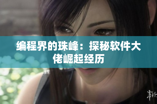 编程界的珠峰：探秘软件大佬崛起经历