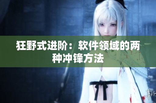 狂野式进阶：软件领域的两种冲锋方法