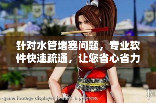 针对水管堵塞问题，专业软件快速疏通，让您省心省力