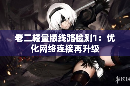 老二轻量版线路检测1：优化网络连接再升级